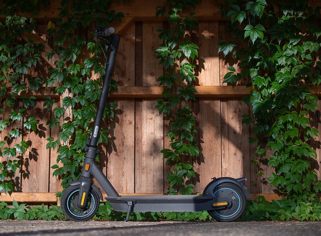 6 Tipps, Um Den Richtigen E-Scooter Für Sie Zu Finden » Epowers